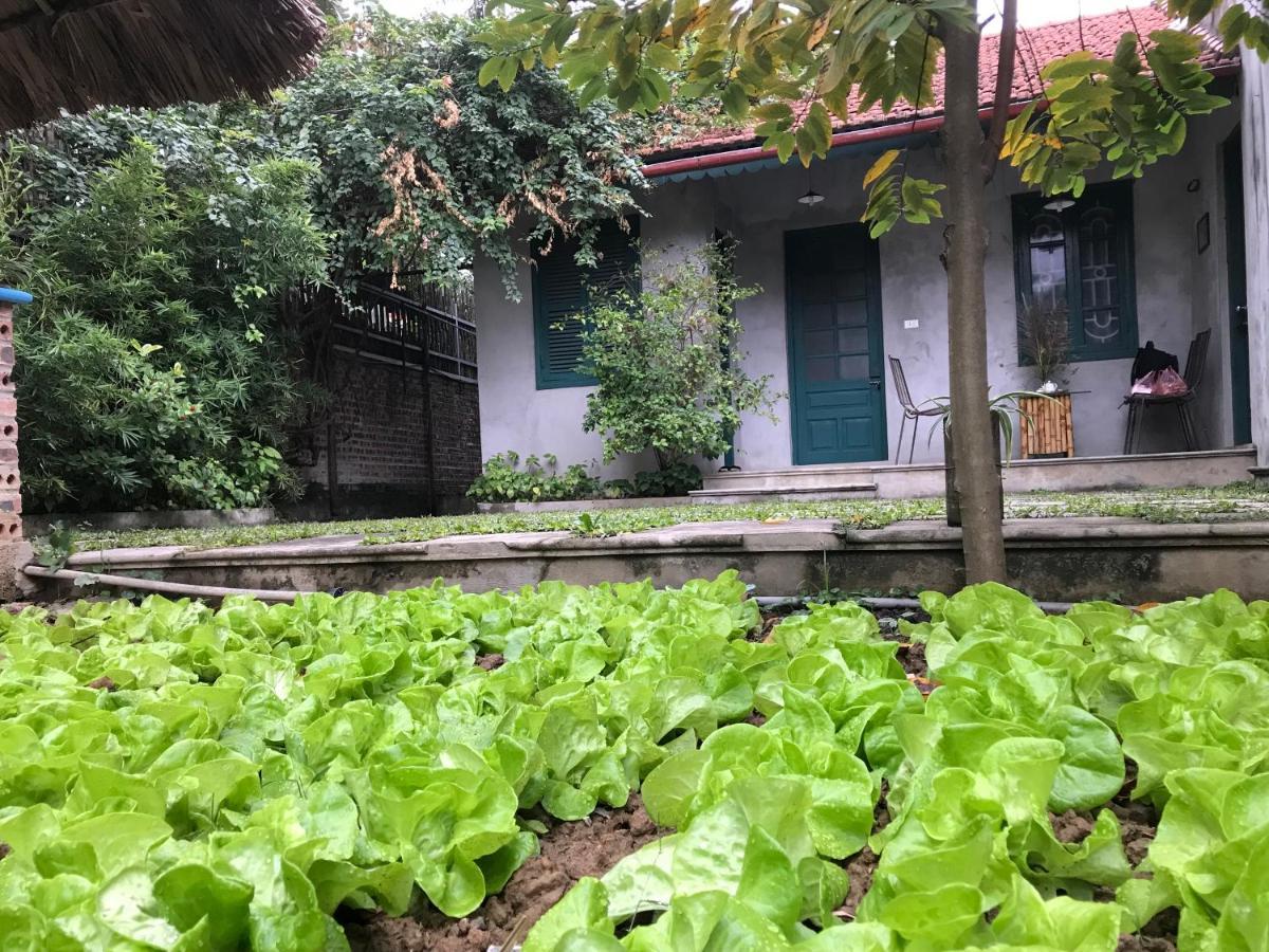 Apartmán Tam Coc Eco House Ninh Binh Exteriér fotografie