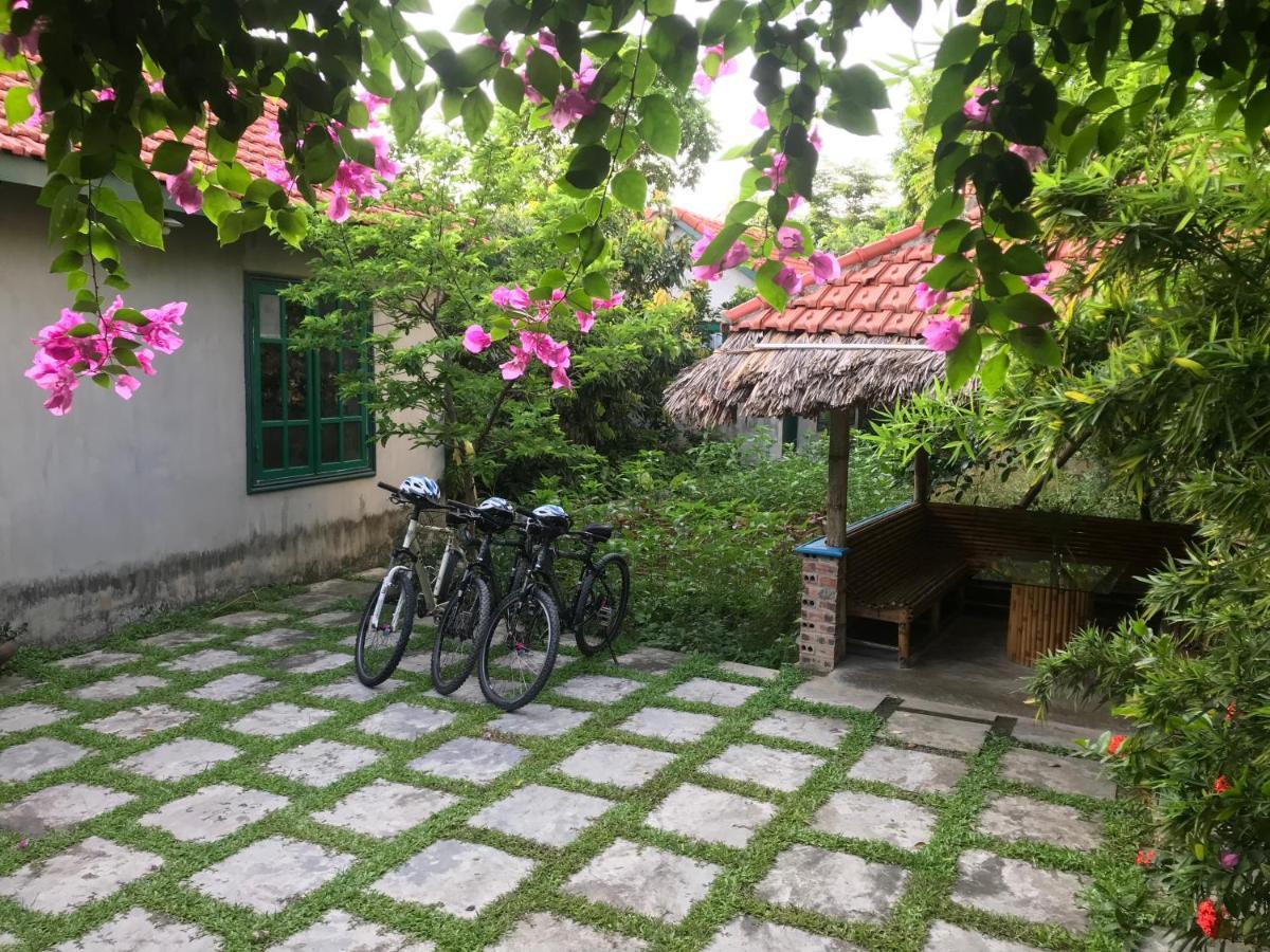 Apartmán Tam Coc Eco House Ninh Binh Exteriér fotografie