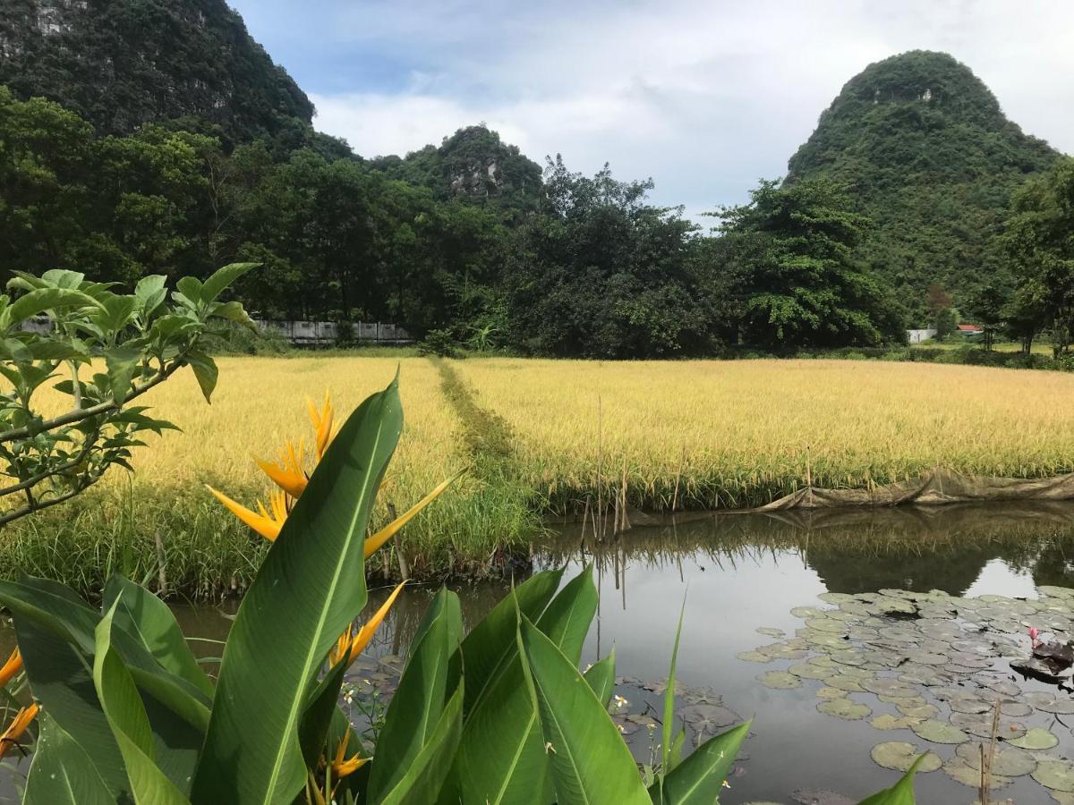 Apartmán Tam Coc Eco House Ninh Binh Exteriér fotografie