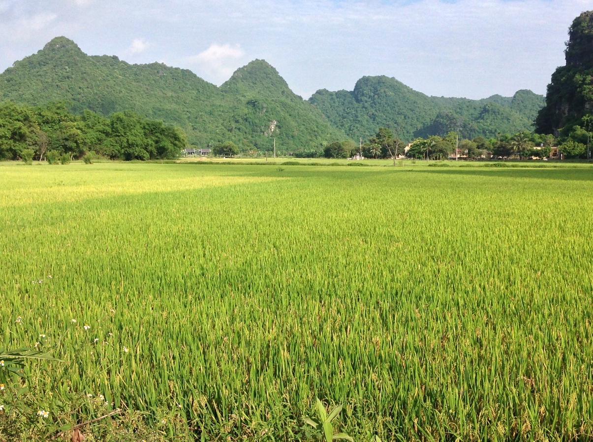 Apartmán Tam Coc Eco House Ninh Binh Exteriér fotografie