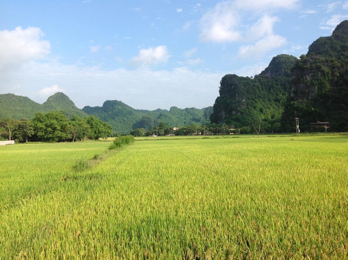 Apartmán Tam Coc Eco House Ninh Binh Exteriér fotografie