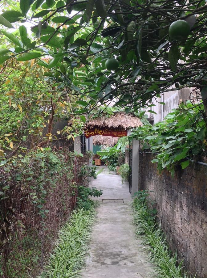 Apartmán Tam Coc Eco House Ninh Binh Exteriér fotografie