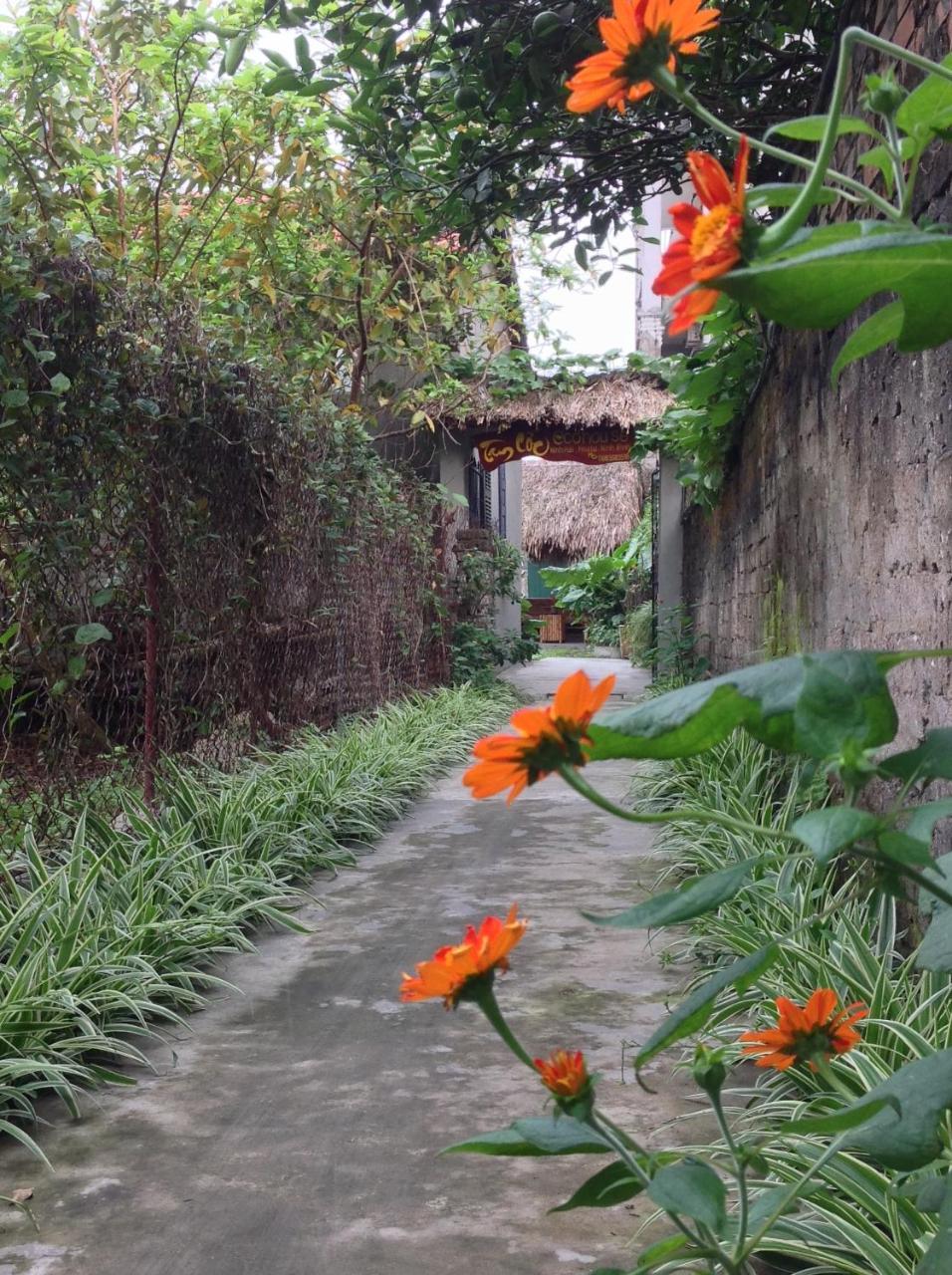 Apartmán Tam Coc Eco House Ninh Binh Exteriér fotografie
