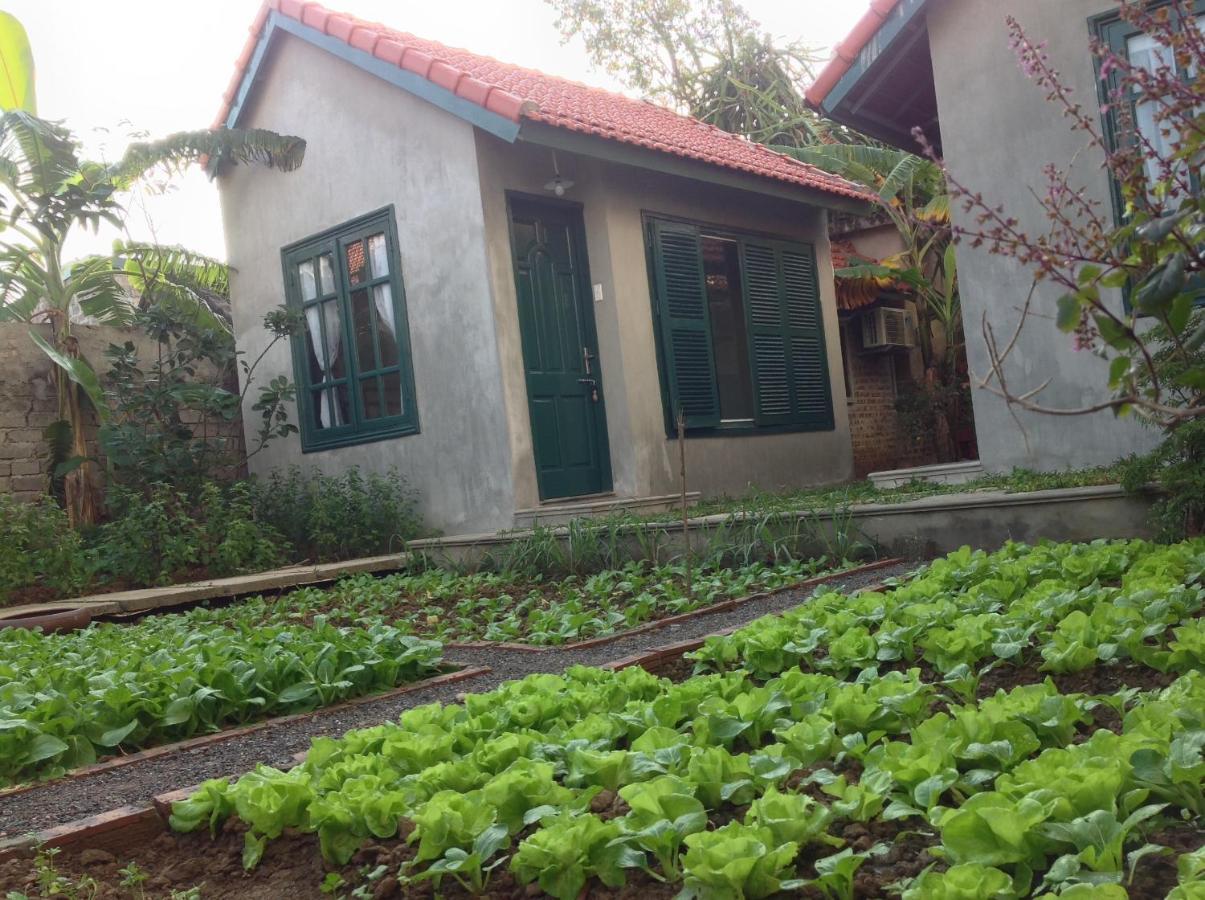 Apartmán Tam Coc Eco House Ninh Binh Exteriér fotografie
